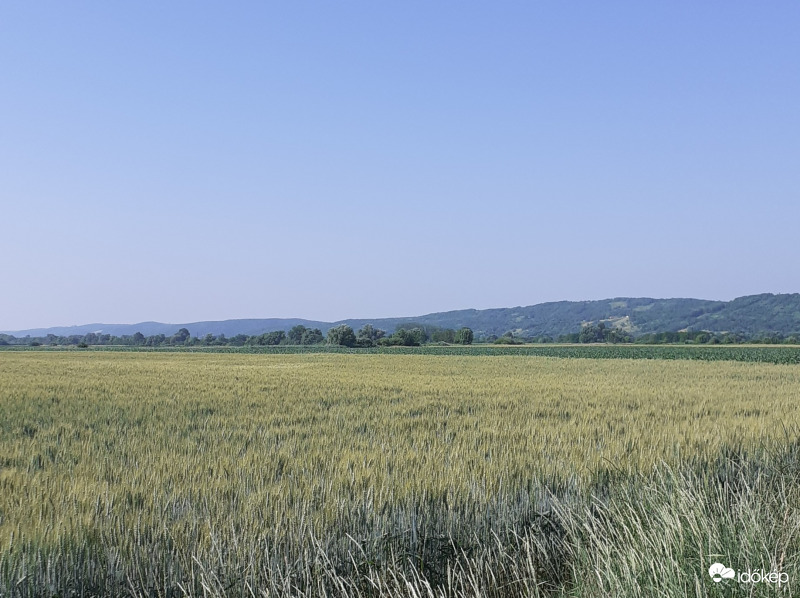 The hills of Zala county