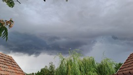 dgeri fotója