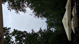 Szeged