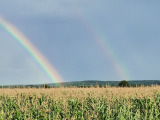 Balatonszemes