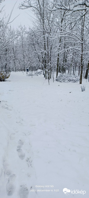 Kisvásárhely