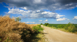 A határban 