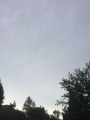 Isaszeg