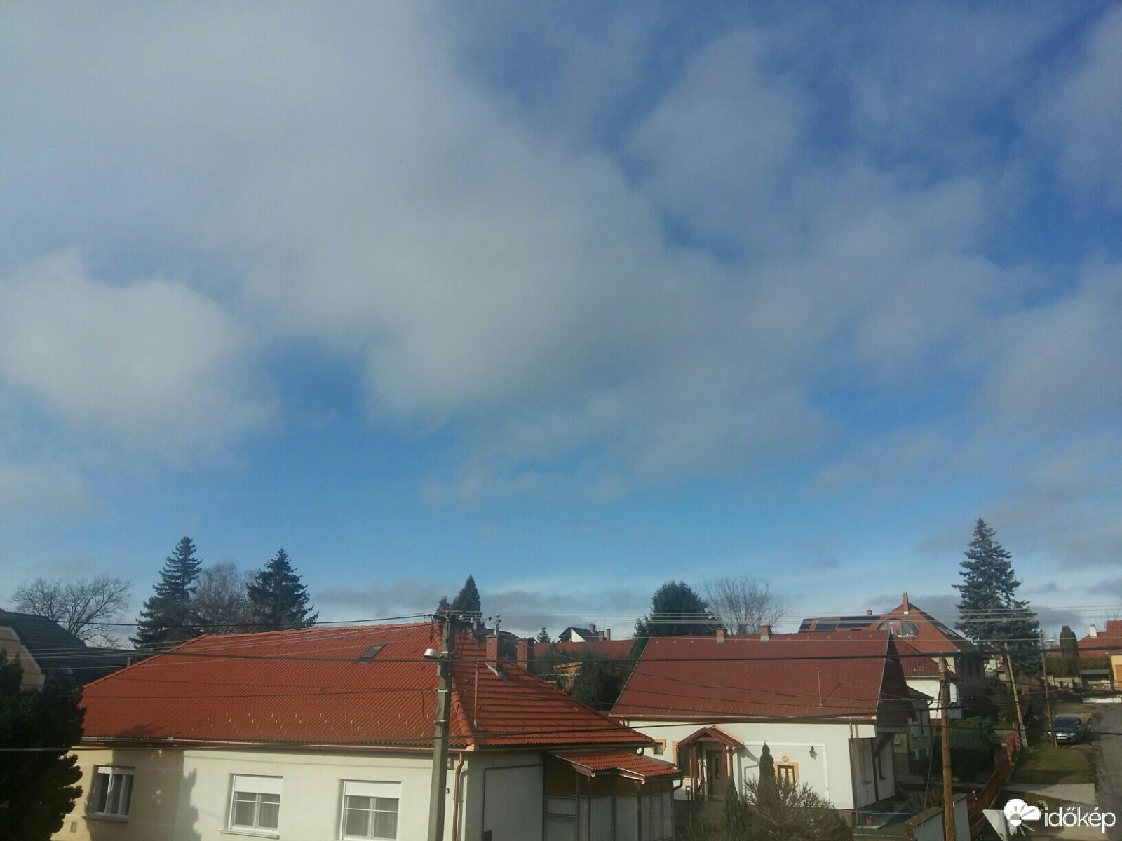 Orci