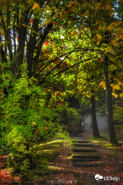 Gyönyörű szép az idő. 