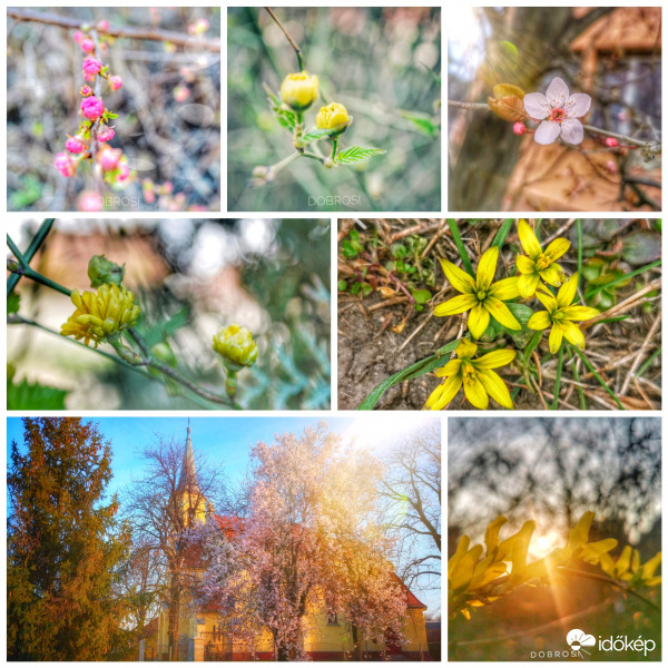 Tavaszodik. 