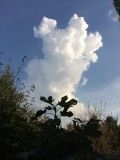 Integető mackó felhő