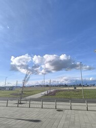 Pákozd