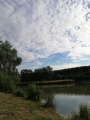 Káva