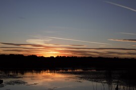Tisza-tó