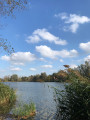 Veresegyház