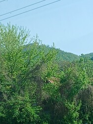 Süttő