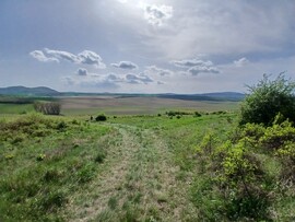Süttő