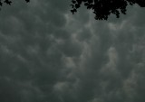 mamma Szeged