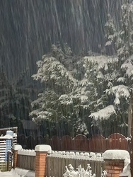 Mátraballa 2026.01.07. 02:07