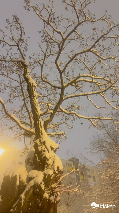 Budapest XI.ker - Albertfalva