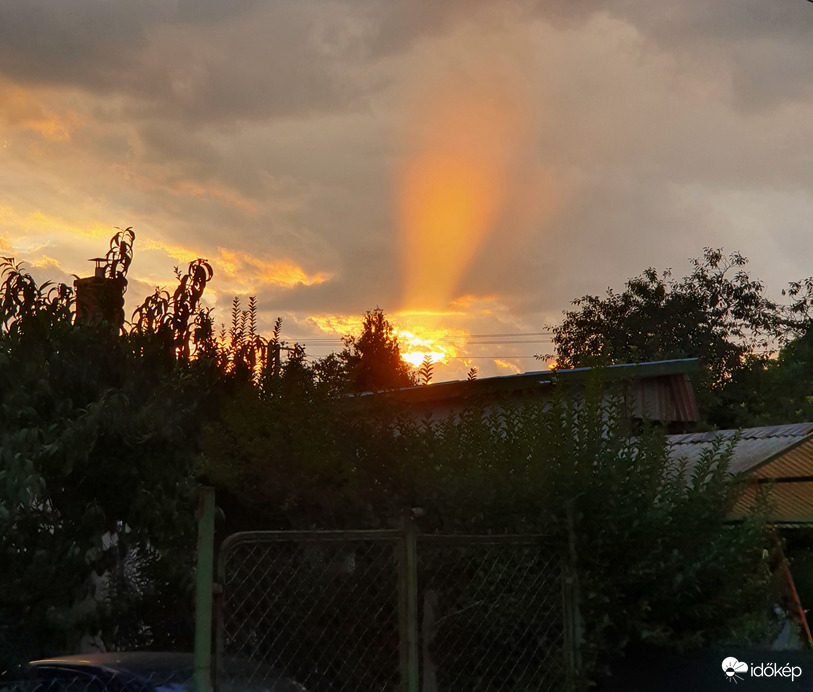 Kora esti fénypászma