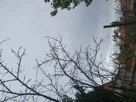 Pécs