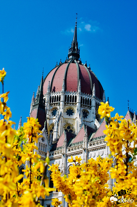 Parlament