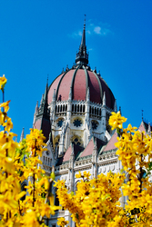 Parlament