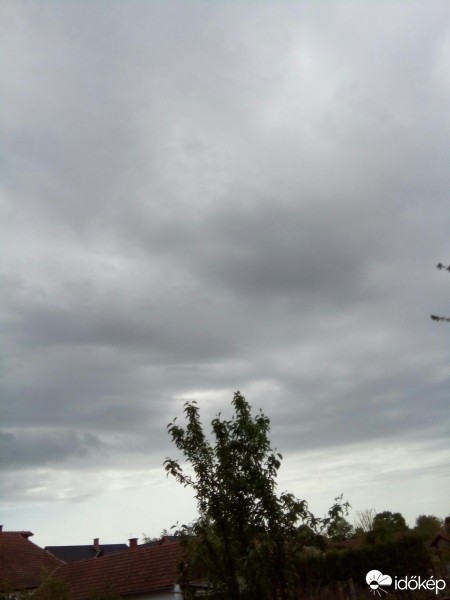 Kiskunhalas