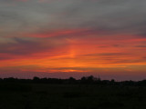 drabonka fotója