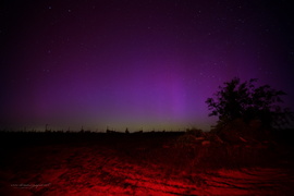 aurora borealis 