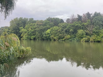 Szarvas
