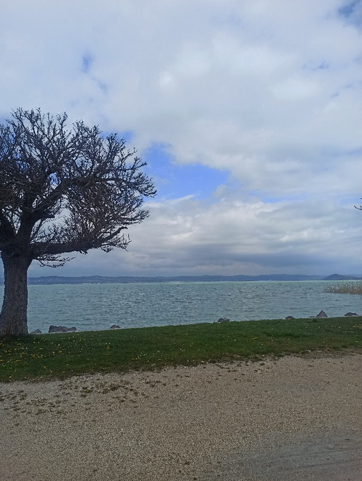 Balatonszárszó