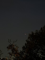 Budapest XXII.ker - Budafok