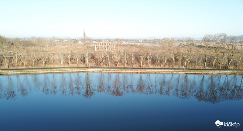 Tükör 