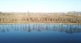 Tükör 