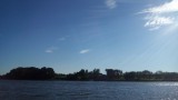 Orci
