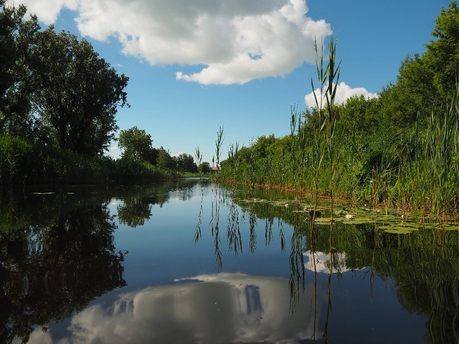 Balatonfenyves