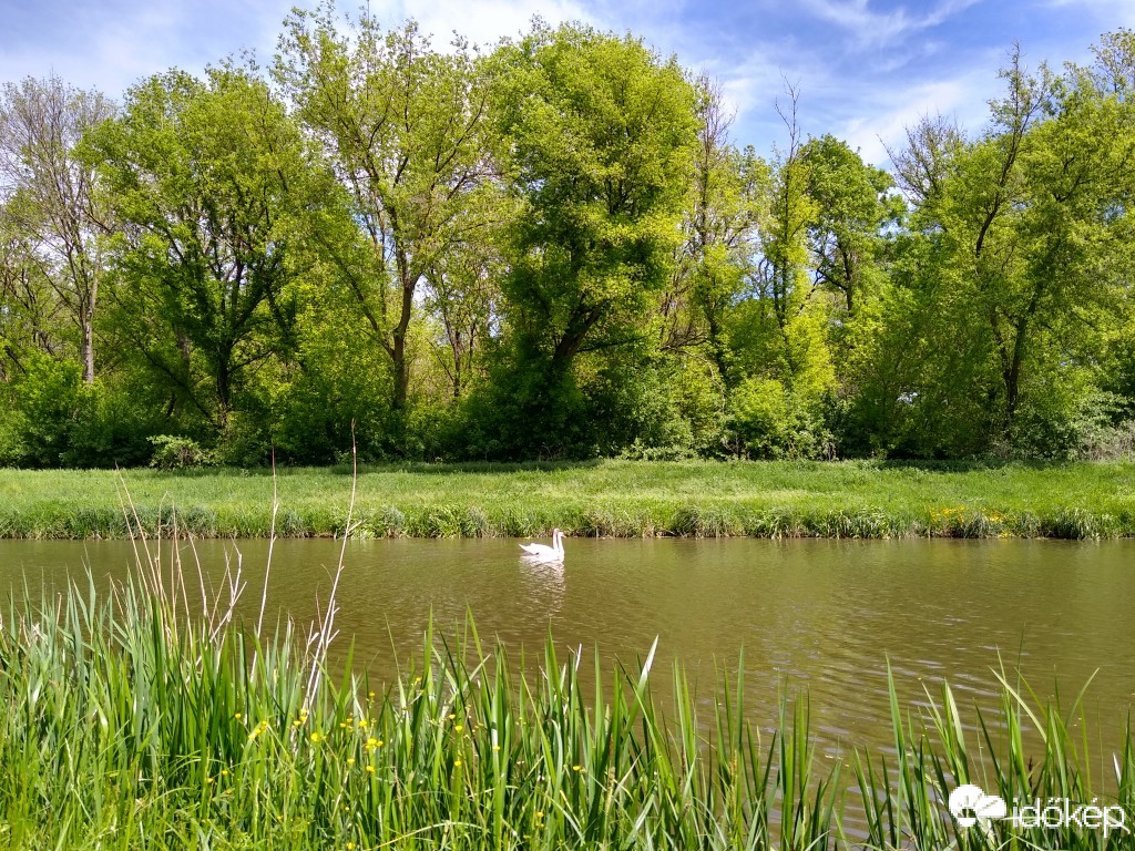 Balatonfenyves