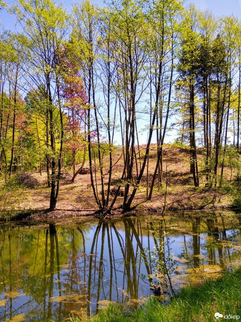 Balatonfenyves