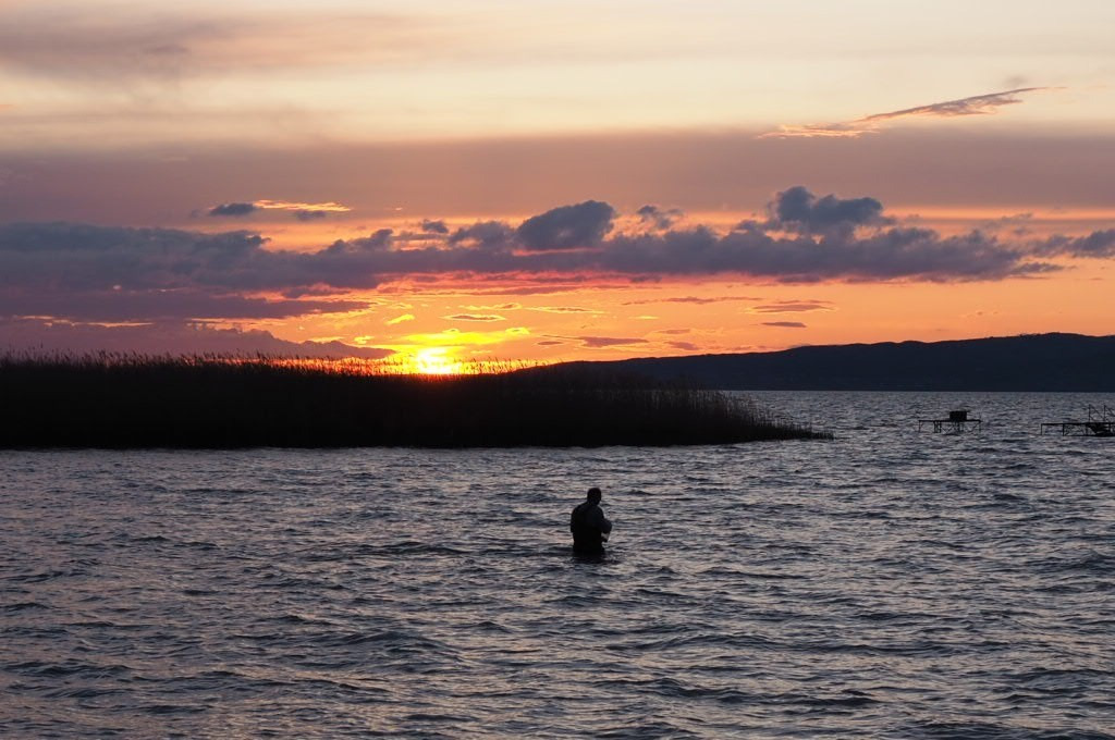 Balatonfenyves
