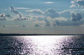 Balatonfenyves