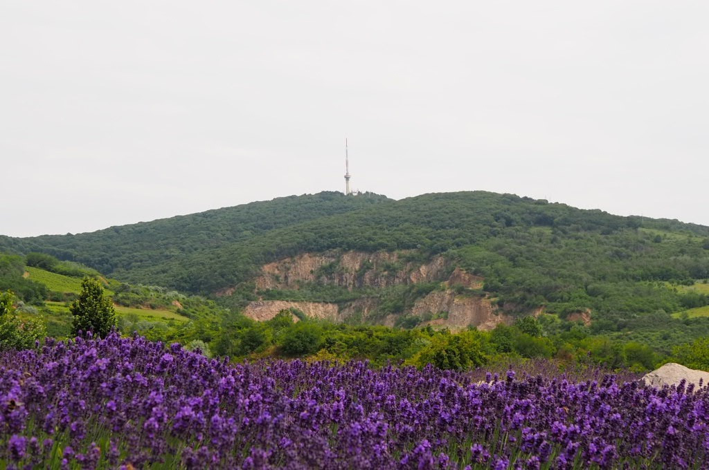 Miskolc