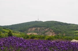 Miskolc