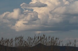 Balatonfenyves