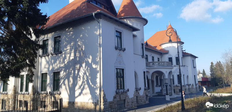Tulipános Ház