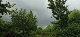 Baracska