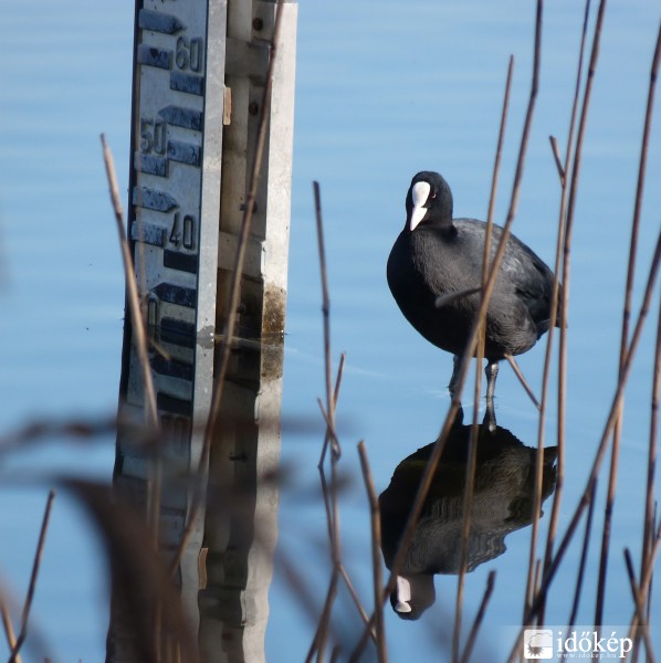 Milyen magas vagyok?