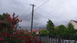 Gyúró