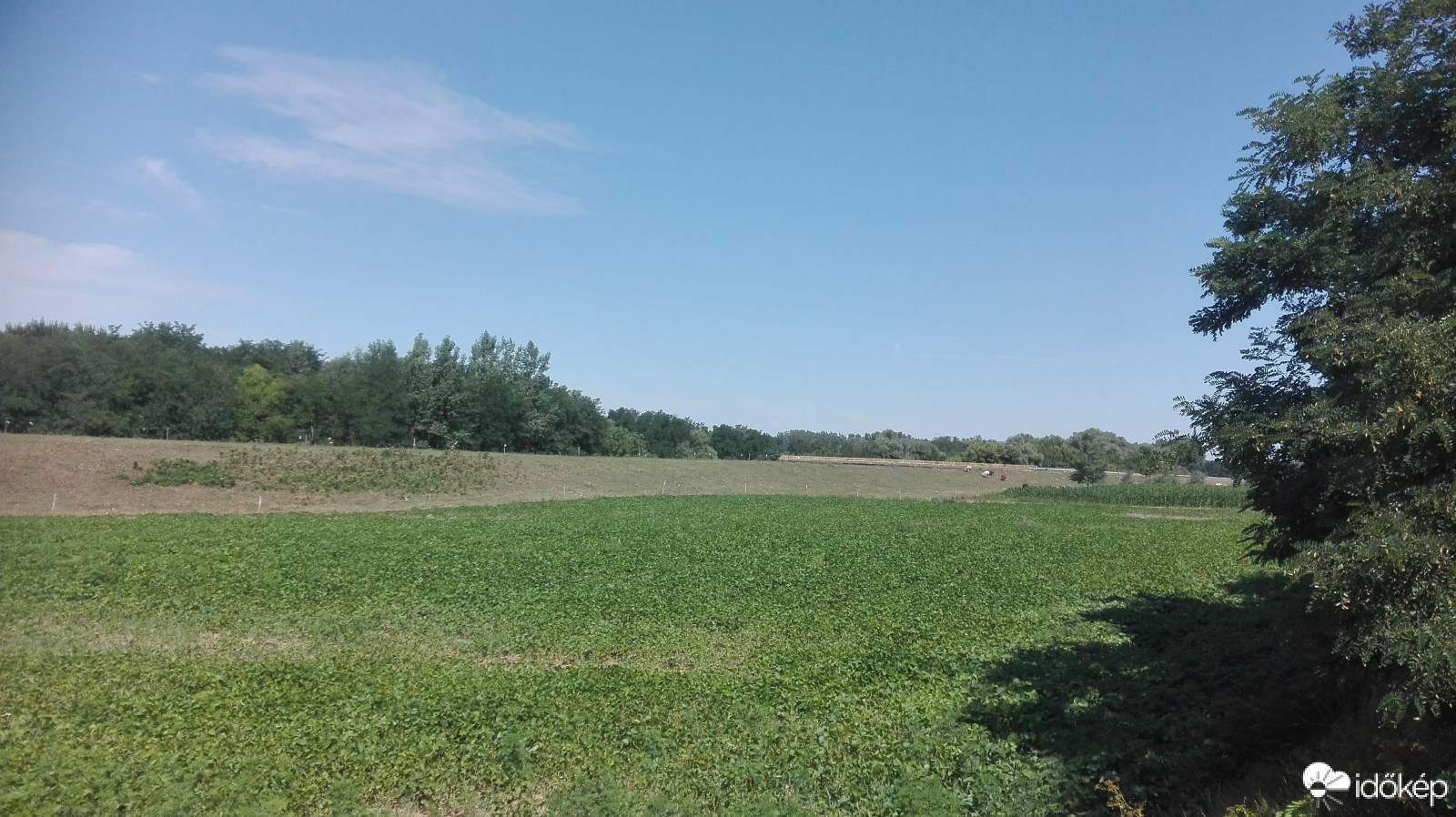 Árpás