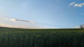 Valkó