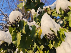 Budapest XII.ker - Krisztinaváros