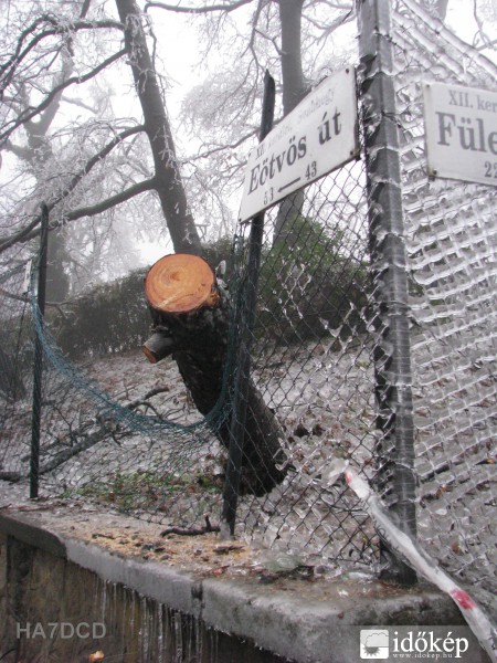 Kárelhárítás a XII. kerületben