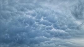 Mammatus 